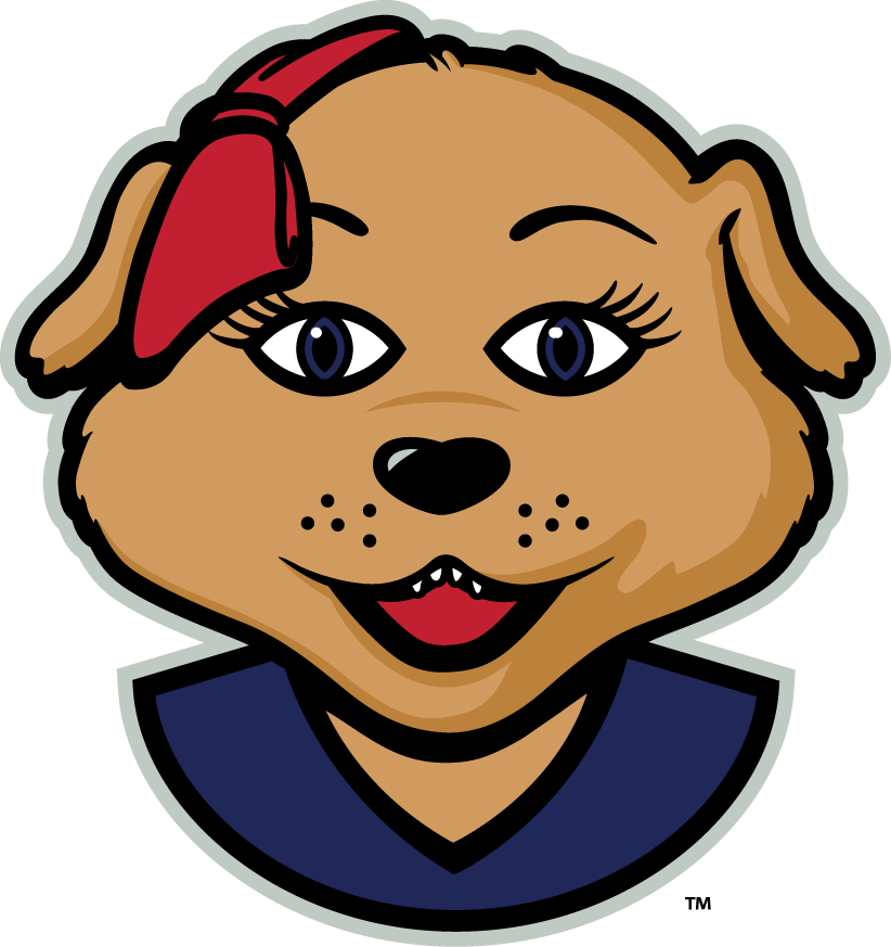 Arizona Wildcats 2013-Pres Mascot Logo v2 diy iron on heat transfer